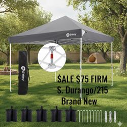 NEW 10x10 Canopy + Sandbags & Roller Bag - $75 S. Durango/215