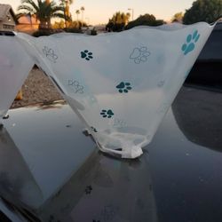 Dog Cones