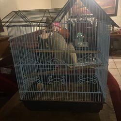 Bird Cage