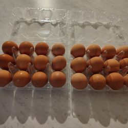 Eggs Cage Free