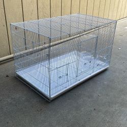 Birds Cage