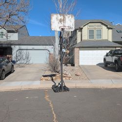 Adjustable Freestanding Basketball Hoop