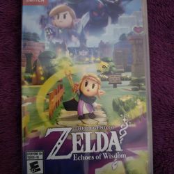 Zelda echoes  of wisdom nintendo switch