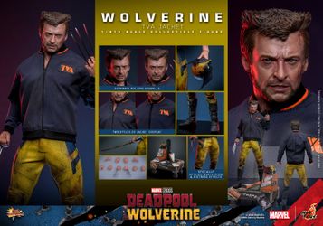 Hot Toys MMS756 Wolverine (TVA Jacket Version) Marvel Deadpool & Wolverine 1/6 Figure
