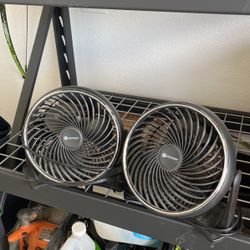 Fan