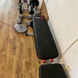 Weights and bench