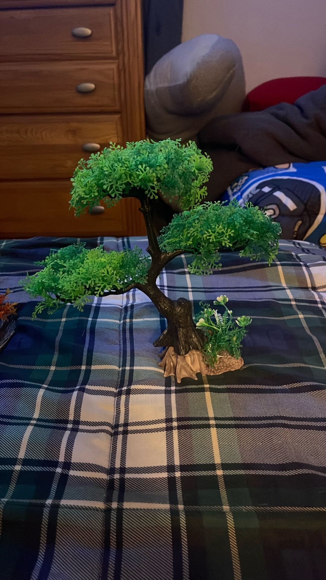 Small Aquarium Decoration 