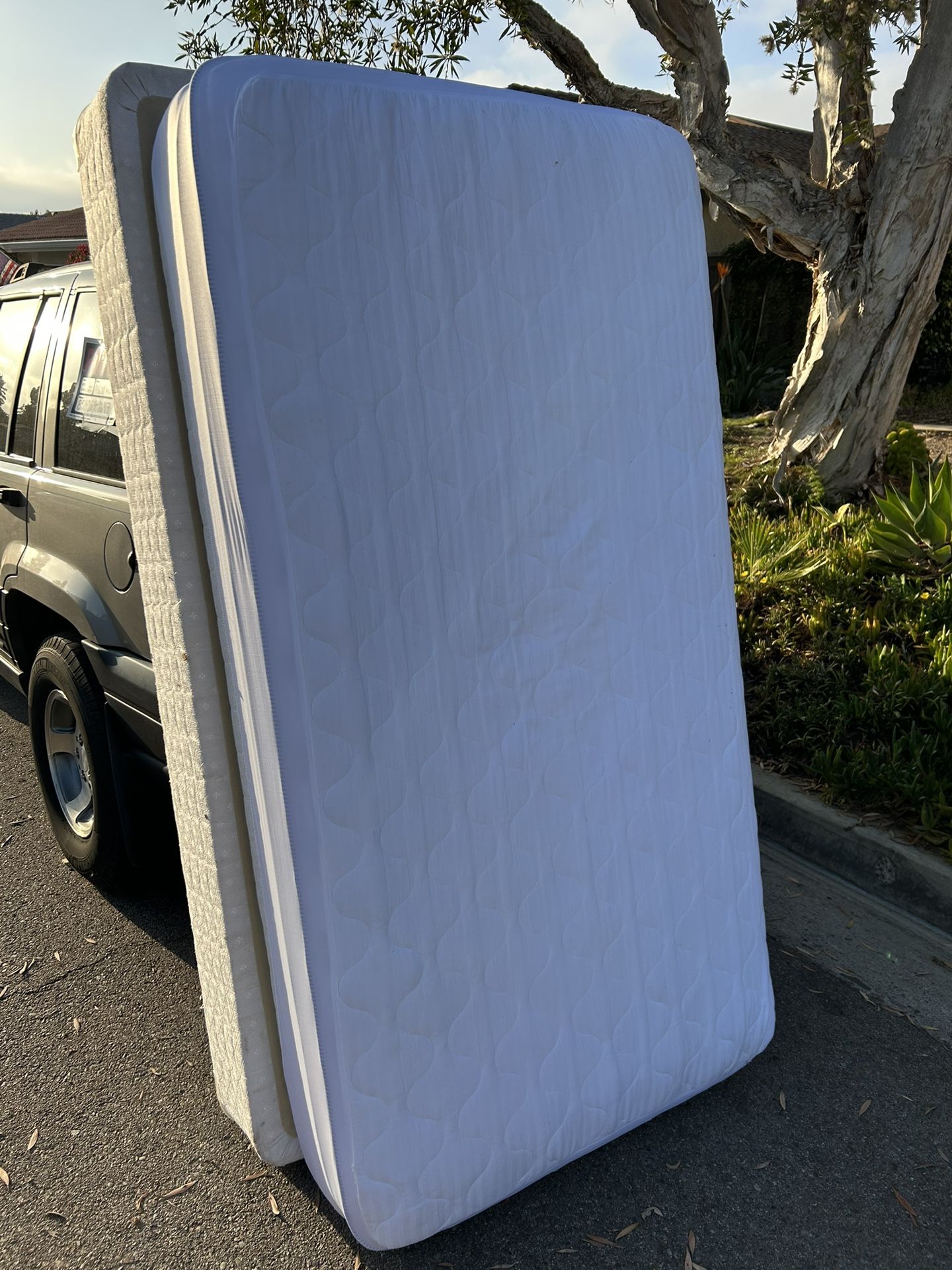 Free clean single Mattress, Box Spring, Bed Frame