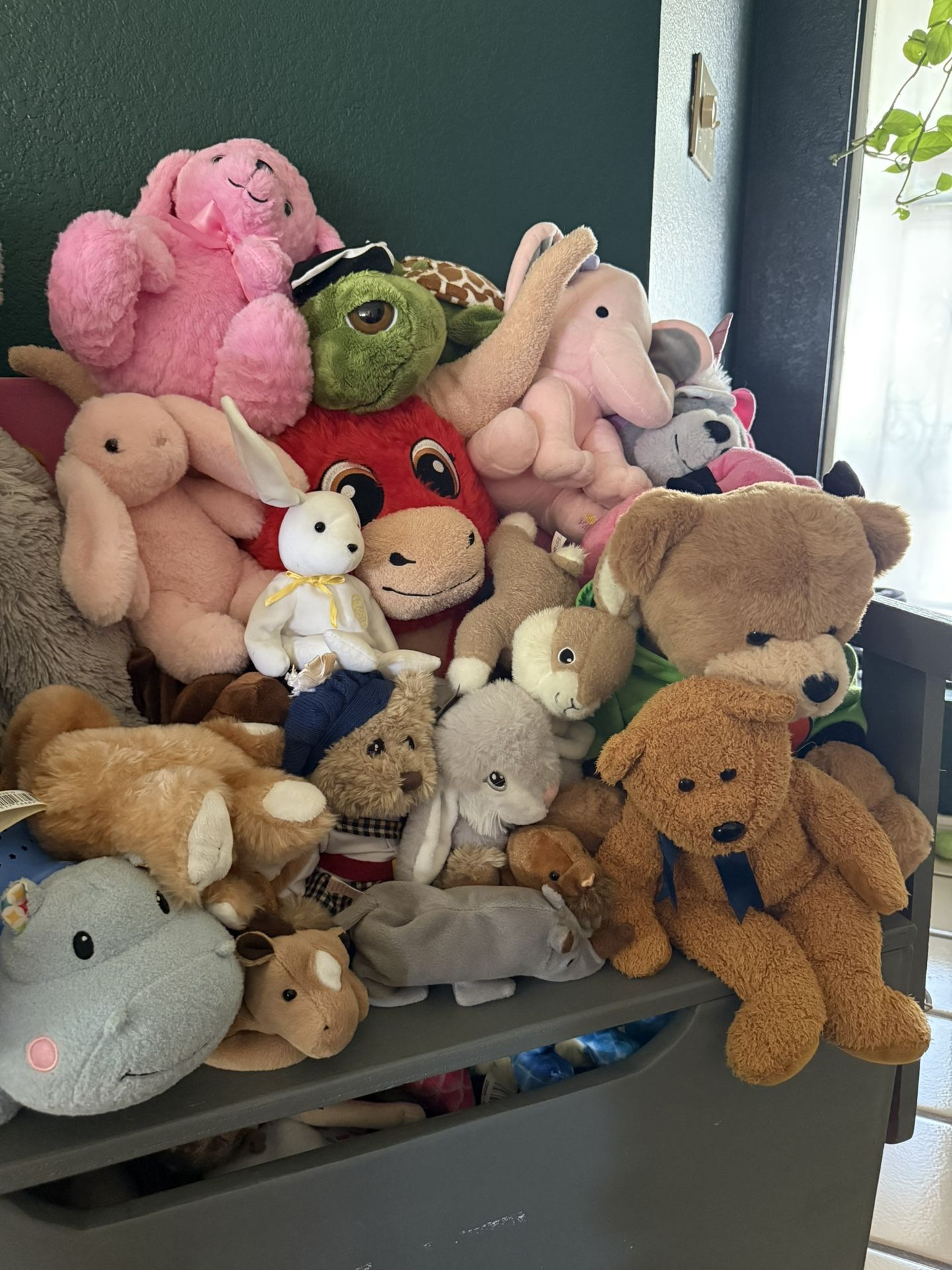 Stuffed Animals 