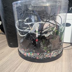 COMPLETE BETA FISH STARTER KIT