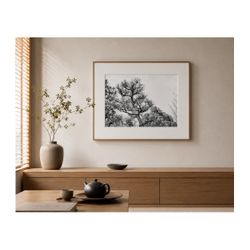 Japanese Pine Tree Wall Art | Black & White Fine Art Print | 11x14 Framed