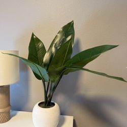 Faux Potted Plant