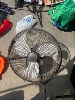 Fan