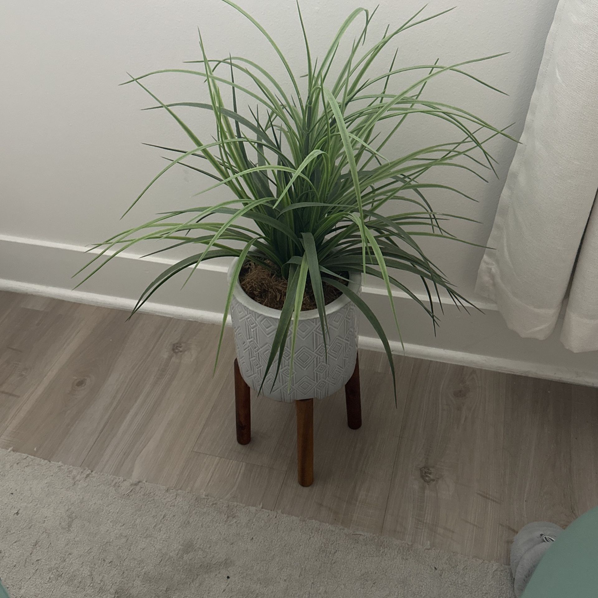 Fake Plant Vase - $20