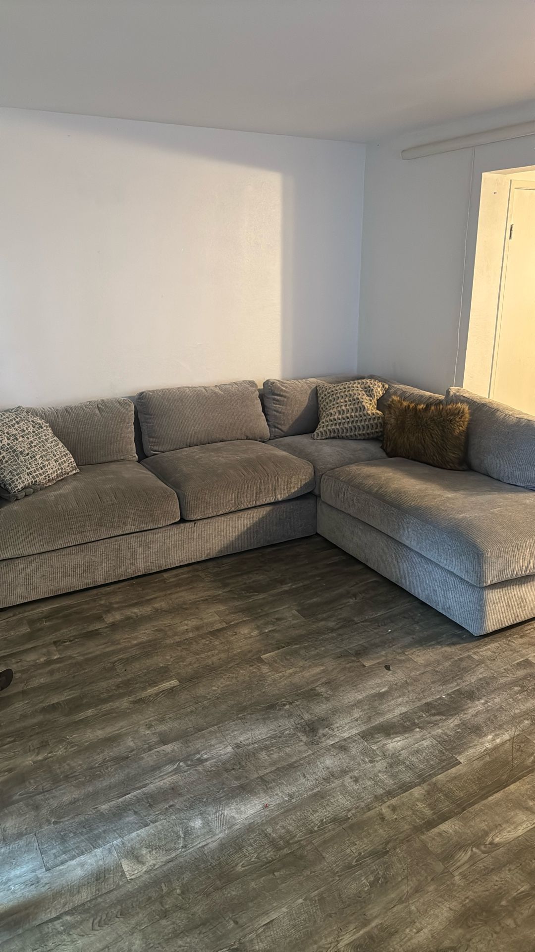 Light Grey Couch