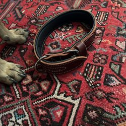 Ray Allen Dog Collar 2 Inch