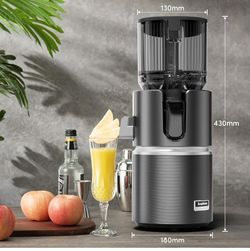 Anybear cold Press Juicer machine