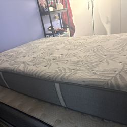Full Size Mattress W/ Base