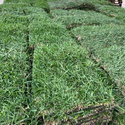 Grass Sod For Sale