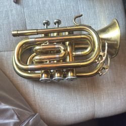 Trumpet For Sale