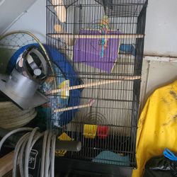 Bird Cage 
