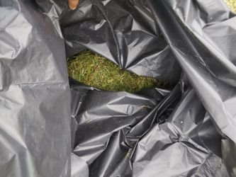 Hay bags 10$ each