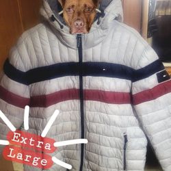 Tommy Hilfiger Puffer Coat