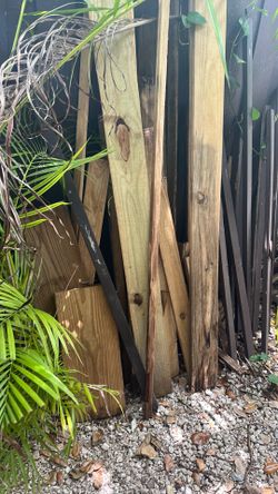 Wood madera gratis