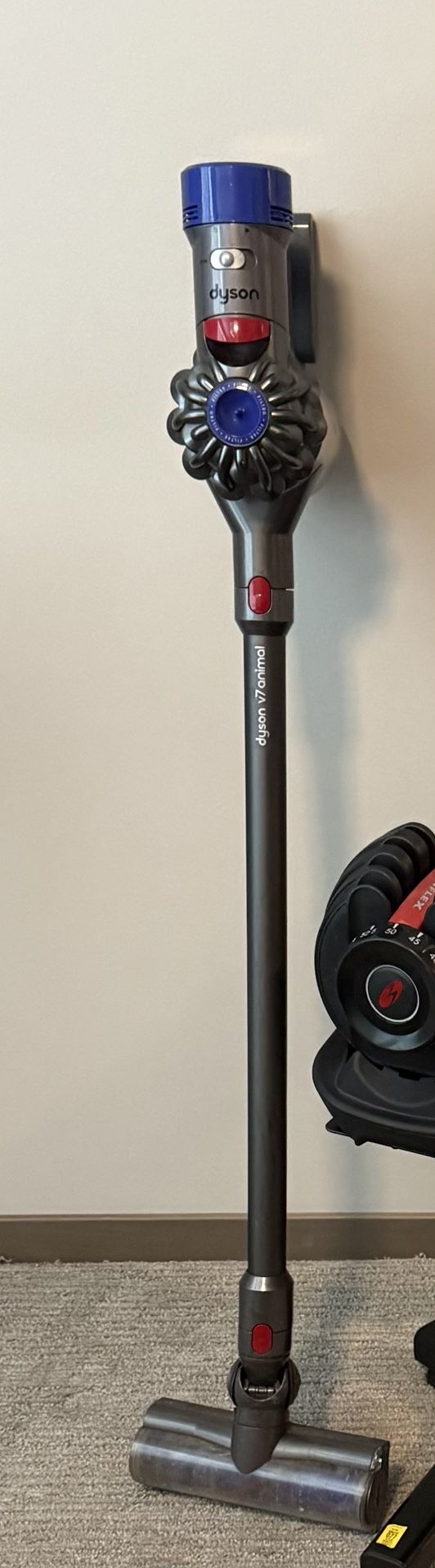 Dyson Vacuum