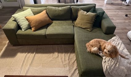 Avocado Green Couch