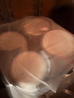 Dinner plates 12”