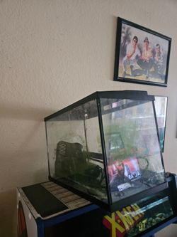 5 gallon aquarium