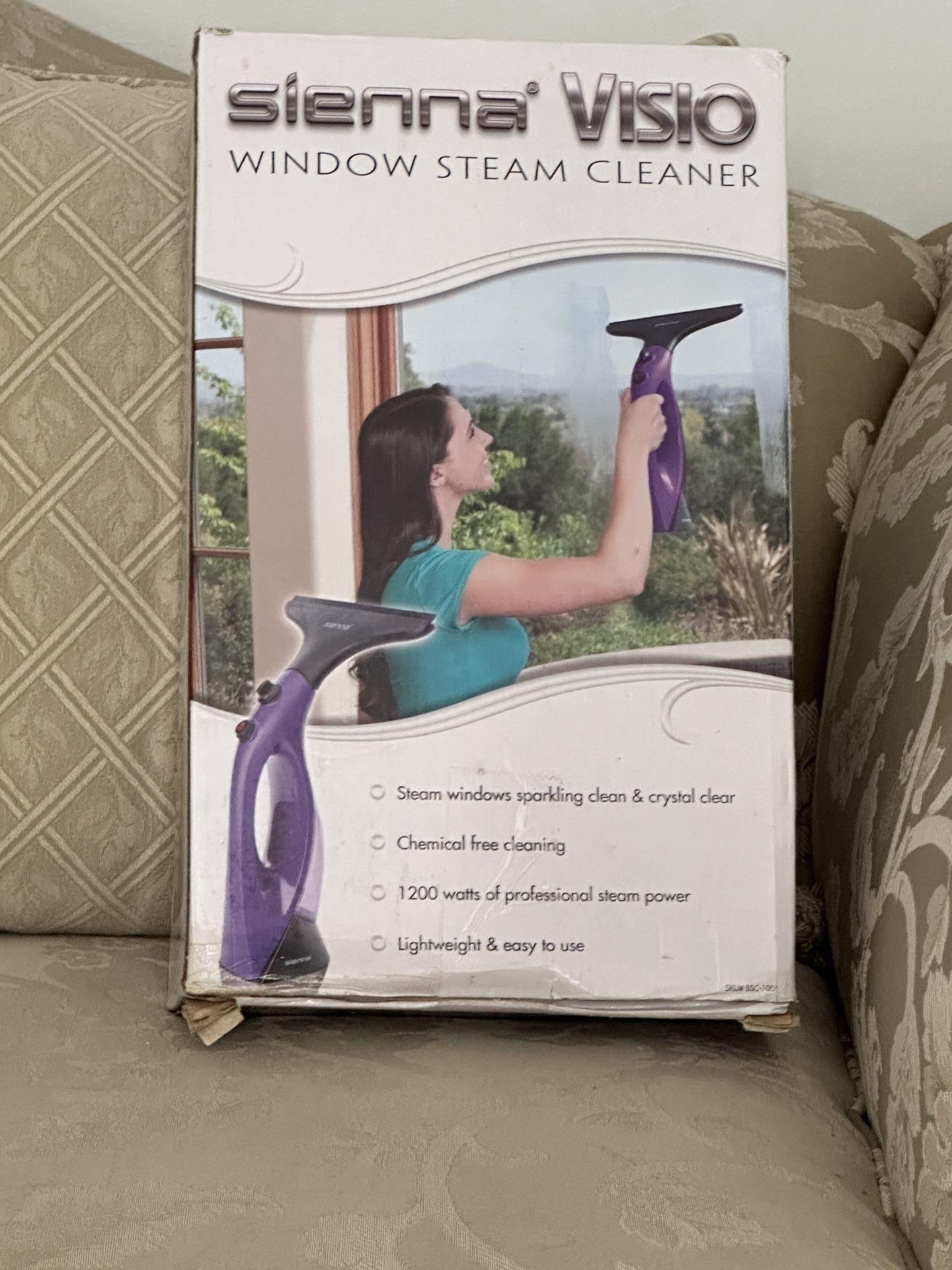 Window Steam Cleaner