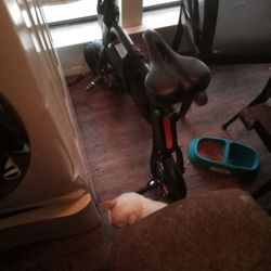 Electric Bike By Swagtron 
