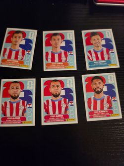 World cup panini stickers