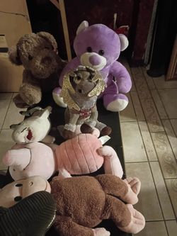 Misc Plush Toys
