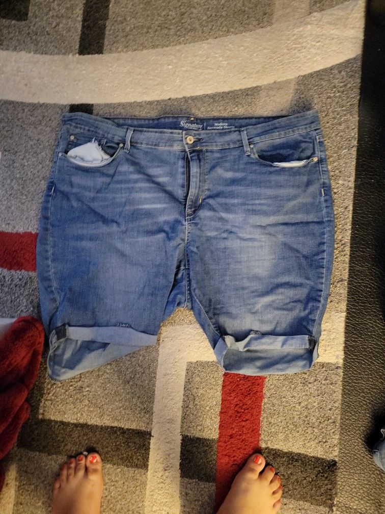 Size 22 Shorts Womens