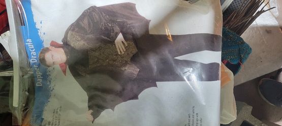 Dapper Dracula Costume 