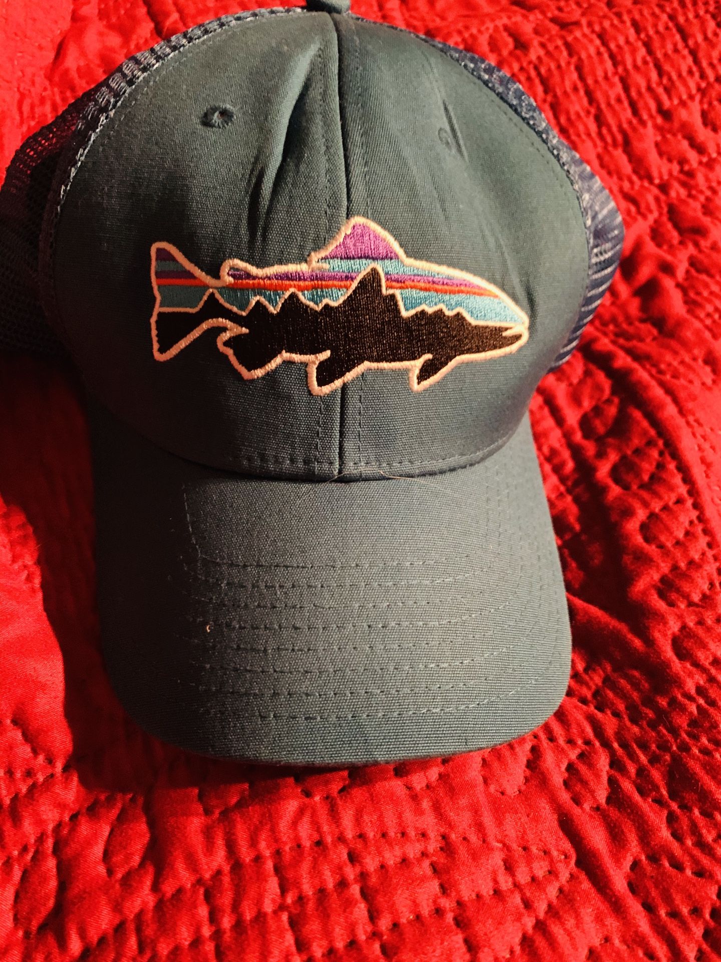 Patagonia Fish SnapBack Hat