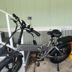 Paselec Electric Bike 
