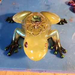 Spider FROG