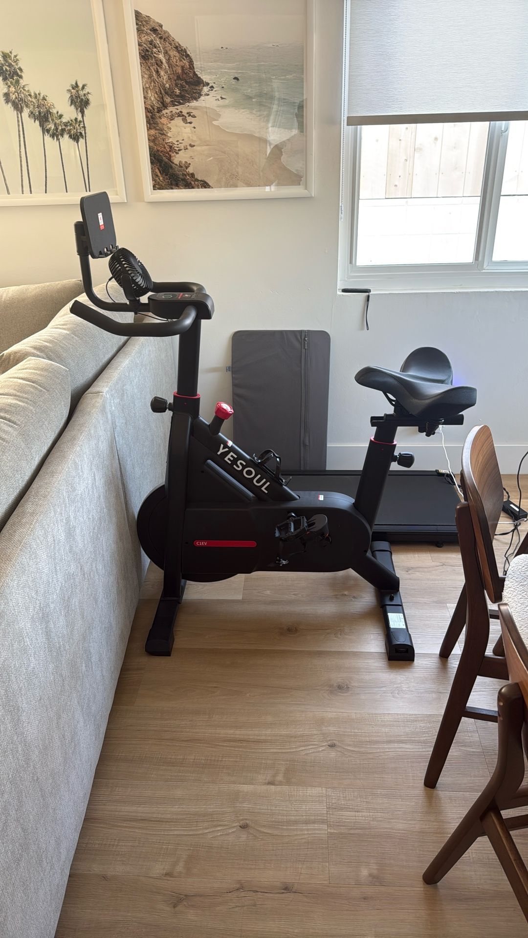 YeSoul Exercise Bike