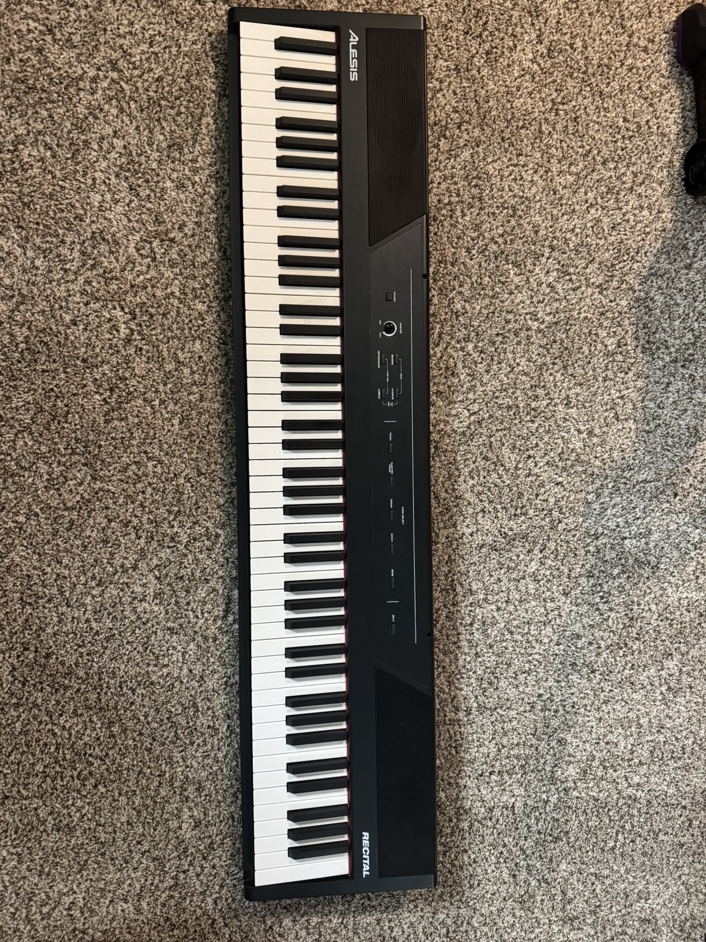 Alesis Recital Keyboard - Weighted