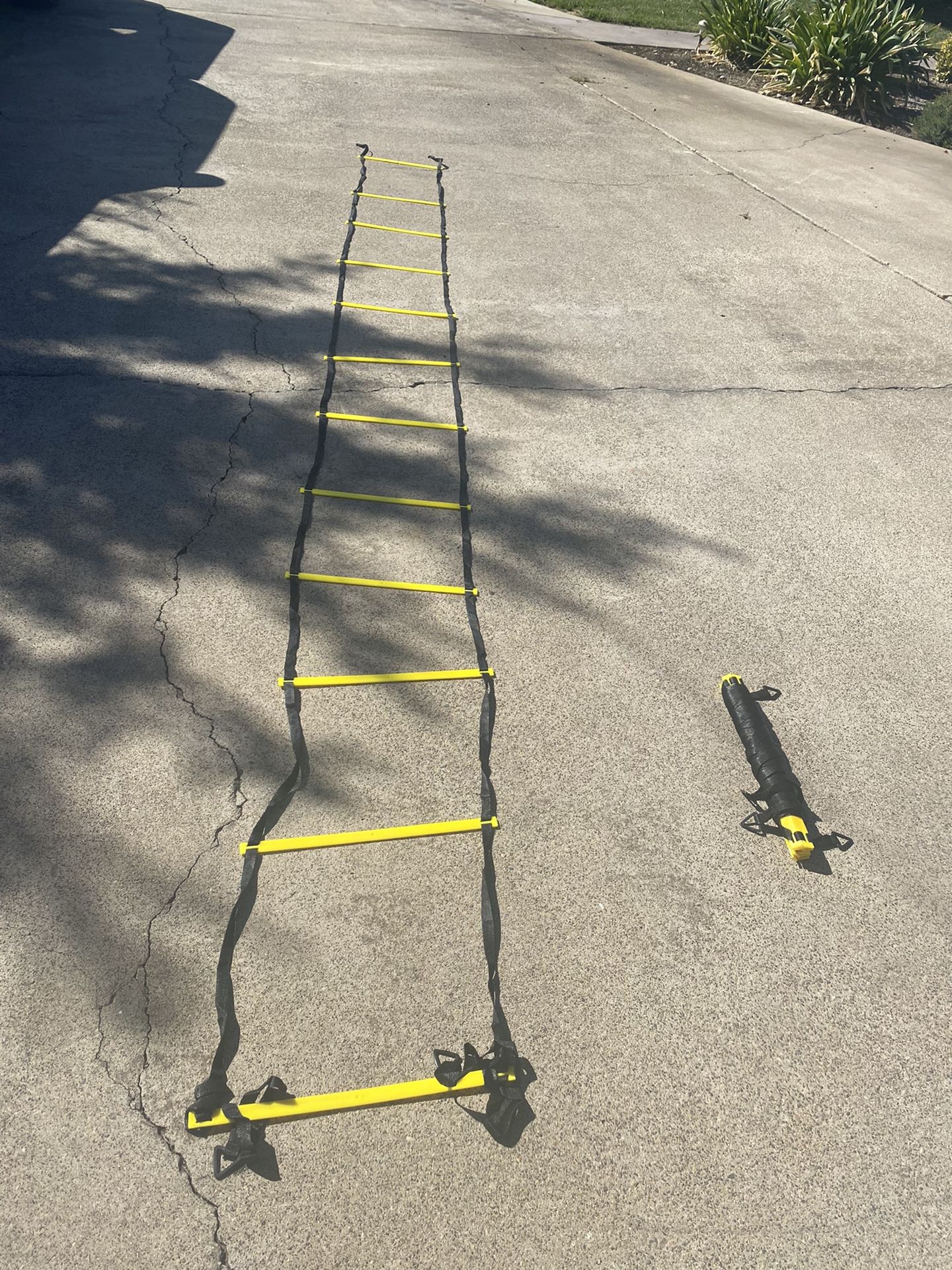 Sports Ladder