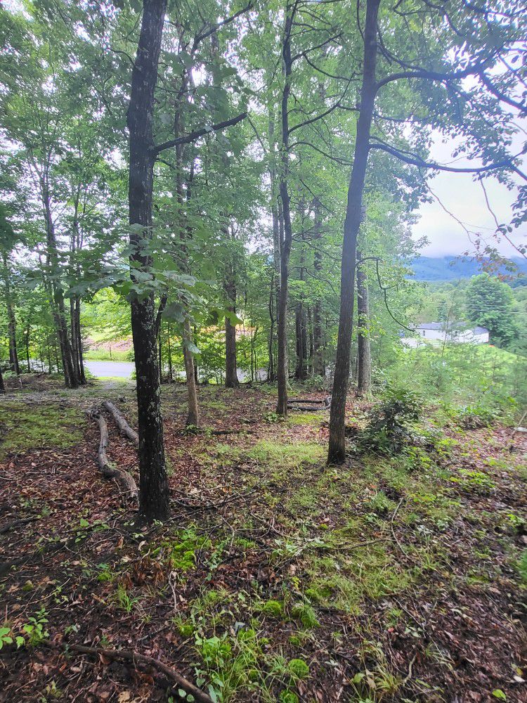 Wooded Land For Sale 2 ACRES OFF CHEROKEE RD JOHNSON CITY TN