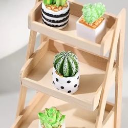 NEW 4Pc Succulents In Ceramic Pots