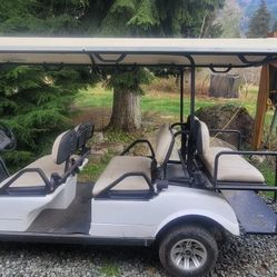 6 Person Electric Golf Cart