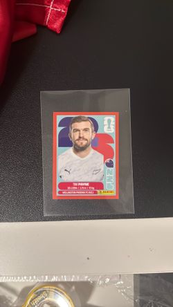 Red Tim Payne Panini Fifa World Cup 2026