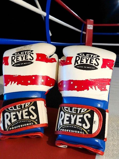 Cleto Reyes Professional 16oz Boxing Gloves