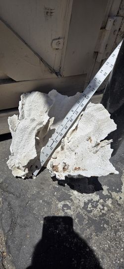 Aquarium Decoration Corrales 